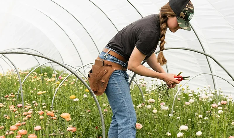 There are many variations of passages of Lorem Ipsum available, but majority have suffered teration in some form, by injected humour, or randomised words which don't look even slight believable. If you are going to use a passage of Lorem Ipsum.